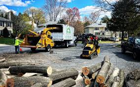 Columbus, MT Tree Services Company